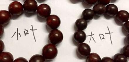 大叶紫檀不是正宗小叶紫檀